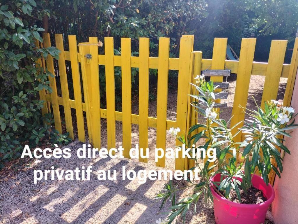 莫里埃莱阿维尼翁Calme Et Intimite Proche Avignon Piscine Options Au Choix Privee Ou Partagee De Juin A Octobre别墅 外观 照片